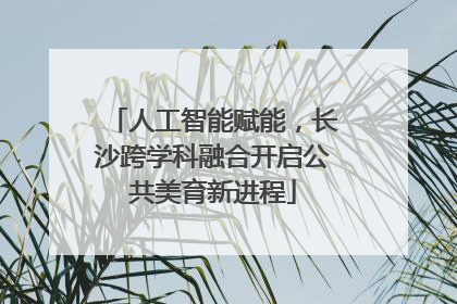 人工智能赋能，长沙跨学科融合开启公共美育新进程