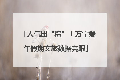 人气出“粽”！万宁端午假期文旅数据亮眼