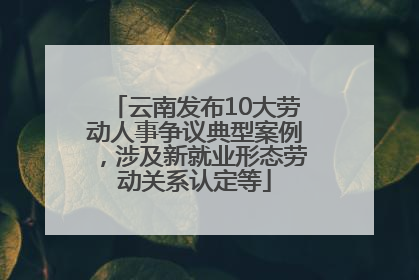 云南发布10大劳动人事争议典型案例，涉及新就业形态劳动关系认定等