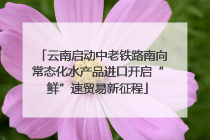 云南启动中老铁路南向常态化水产品进口开启“鲜”速贸易新征程