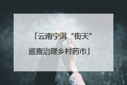 云南宁洱“街天”巡查治理乡村药市