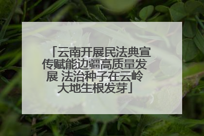 云南开展民法典宣传赋能边疆高质量发展 法治种子在云岭大地生根发芽