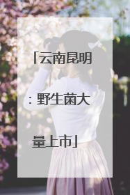 云南昆明：野生菌大量上市