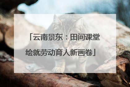 云南景东：田间课堂绘就劳动育人新画卷