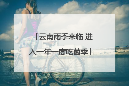 云南雨季来临 进入一年一度吃菌季