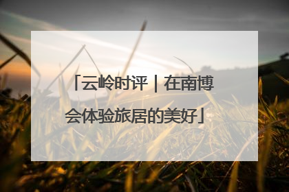 云岭时评｜在南博会体验旅居的美好