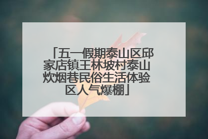 五一假期泰山区邱家店镇王林坡村泰山炊烟巷民俗生活体验区人气爆棚