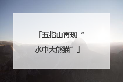 五指山再现“水中大熊猫”