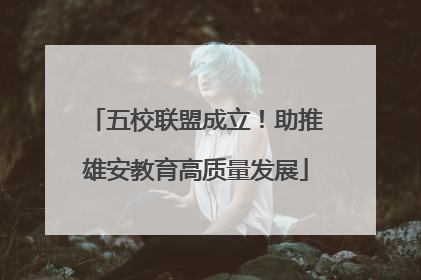 五校联盟成立！助推雄安教育高质量发展