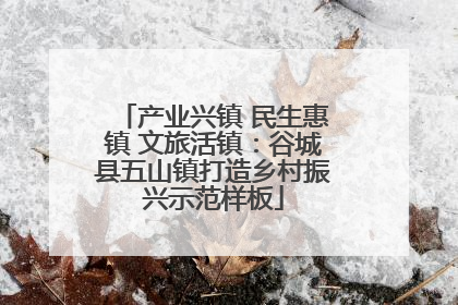 产业兴镇 民生惠镇 文旅活镇：谷城县五山镇打造乡村振兴示范样板