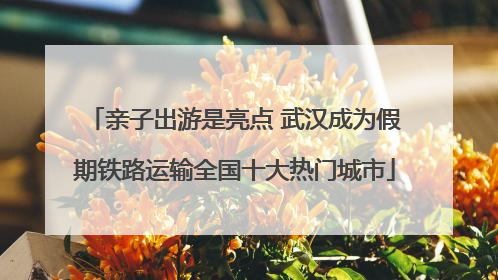 亲子出游是亮点 武汉成为假期铁路运输全国十大热门城市