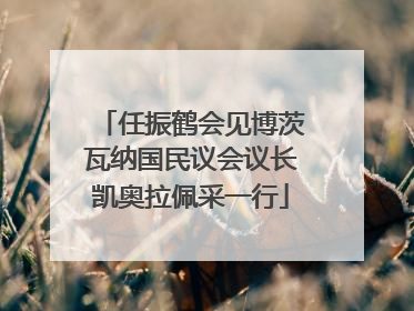 任振鹤会见博茨瓦纳国民议会议长凯奥拉佩采一行