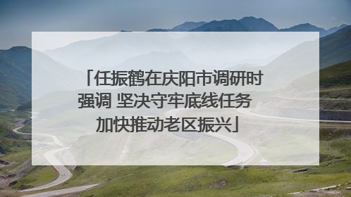 任振鹤在庆阳市调研时强调 坚决守牢底线任务 加快推动老区振兴