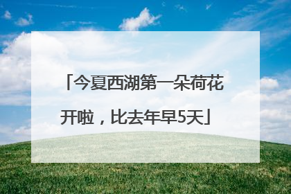 今夏西湖第一朵荷花开啦，比去年早5天