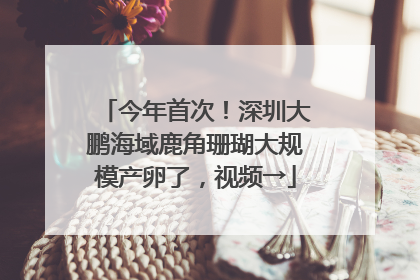 今年首次！深圳大鹏海域鹿角珊瑚大规模产卵了，视频→
