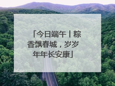 今日端午丨粽香飘春城，岁岁年年长安康