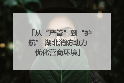 从“严管”到“护航” 湖北消防助力优化营商环境