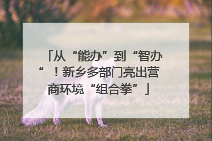 从“能办”到“智办”！新乡多部门亮出营商环境“组合拳”