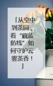 从空中到茶园，看“藏蓝防线”如何守护云雾茶香！