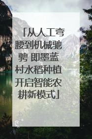 从人工弯腰到机械驰骋 即墨蓝村水稻种植开启智能农耕新模式