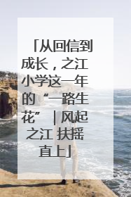 从回信到成长，之江小学这一年的“一路生花”｜风起之江 扶摇直上