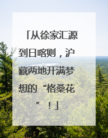 从徐家汇源到日喀则，沪藏两地开满梦想的“格桑花”！