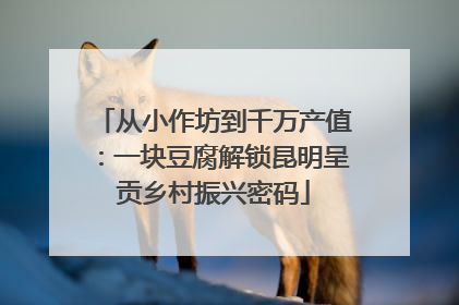 从小作坊到千万产值：一块豆腐解锁昆明呈贡乡村振兴密码