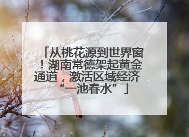 从桃花源到世界窗！湖南常德架起黄金通道，激活区域经济“一池春水”