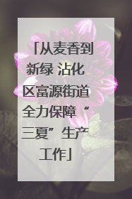 从麦香到新绿 沾化区富源街道全力保障“三夏”生产工作