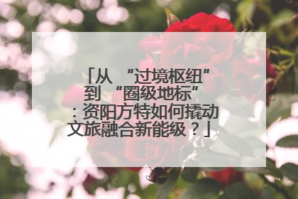 从 “过境枢纽” 到 “圈级地标”：资阳方特如何撬动文旅融合新能级？