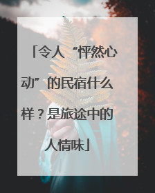 令人“怦然心动”的民宿什么样？是旅途中的人情味