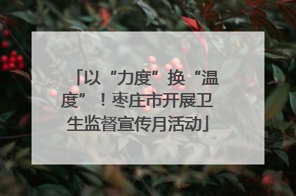 以“力度”换“温度”！枣庄市开展卫生监督宣传月活动