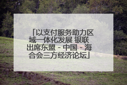 以支付服务助力区域一体化发展 银联出席东盟－中国－海合会三方经济论坛