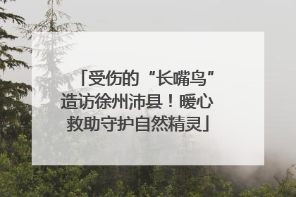 受伤的“长嘴鸟”造访徐州沛县！暖心救助守护自然精灵