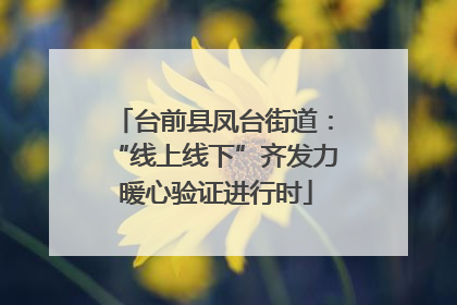 台前县凤台街道：“线上线下”齐发力 暖心验证进行时