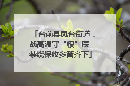 台前县凤台街道：战高温守“粮”辰 禁烧保收多管齐下