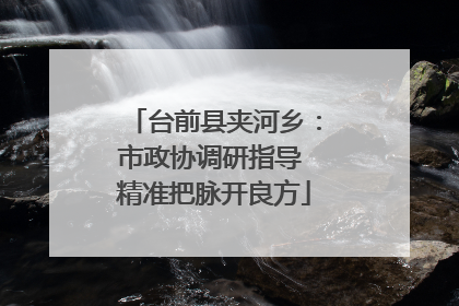 台前县夹河乡：市政协调研指导 精准把脉开良方
