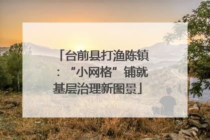 台前县打渔陈镇：“小网格”铺就基层治理新图景