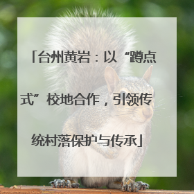 台州黄岩：以“蹲点式”校地合作，引领传统村落保护与传承