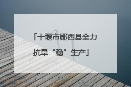 十堰市郧西县全力抗旱“稳”生产