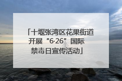 十堰张湾区花果街道开展“6·26”国际禁毒日宣传活动