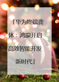 华为终端龚体：鸿蒙开启高效智能开发新时代