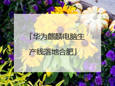 华为麒麟电脑生产线落地合肥