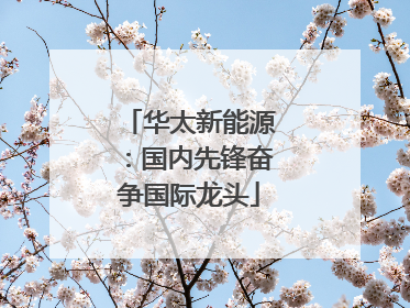 华太新能源：国内先锋奋争国际龙头