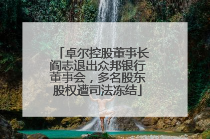 卓尔控股董事长阎志退出众邦银行董事会，多名股东股权遭司法冻结