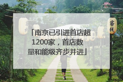 南京已引进首店超1200家，首店数量和能级齐步并进