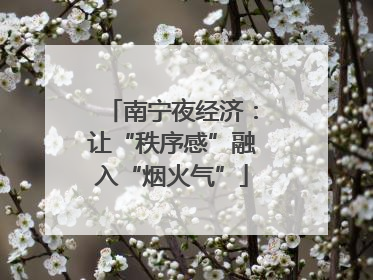 南宁夜经济：让“秩序感”融入“烟火气”