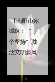 南阳市宛城区：“三个坚持”激活文明乡风