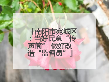 南阳市宛城区：当好民意“传声筒” 做好改造“监督员”