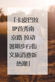 卡皮巴拉IP首秀南京路 拉动暑期步行街文旅消费新热潮